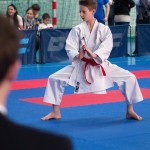 ASKÖ Wiener Karate Landesmeisterschaft 2014