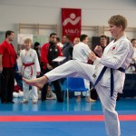 ASKÖ Wiener Karate Landesmeisterschaft 2014