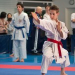 ASKÖ Wiener Karate Landesmeisterschaft 2014