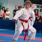 ASKÖ Wiener Karate Landesmeisterschaft 2014