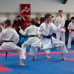 ASKÖ Wiener Karate Landesmeisterschaft 2014