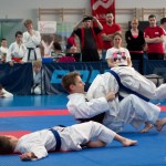 ASKÖ Wiener Karate Landesmeisterschaft 2014