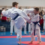 ASKÖ Wiener Karate Landesmeisterschaft 2014