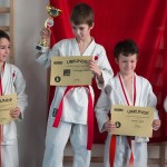 ASKÖ Wiener Karate Landesmeisterschaft 2014