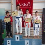 ASKÖ Wiener Karate Landesmeisterschaft 2014