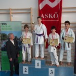 ASKÖ Wiener Karate Landesmeisterschaft 2014