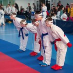 ASKÖ Wiener Karate Landesmeisterschaft 2014