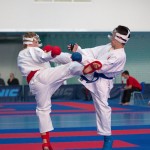 ASKÖ Wiener Karate Landesmeisterschaft 2014