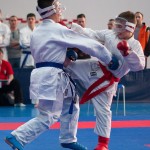 ASKÖ Wiener Karate Landesmeisterschaft 2014