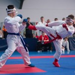 ASKÖ Wiener Karate Landesmeisterschaft 2014