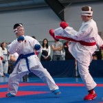 ASKÖ Wiener Karate Landesmeisterschaft 2014