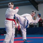 ASKÖ Wiener Karate Landesmeisterschaft 2014