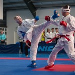 ASKÖ Wiener Karate Landesmeisterschaft 2014