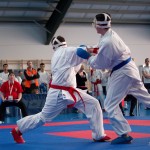 ASKÖ Wiener Karate Landesmeisterschaft 2014