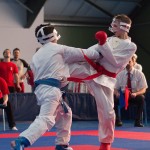 ASKÖ Wiener Karate Landesmeisterschaft 2014