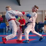 ASKÖ Wiener Karate Landesmeisterschaft 2014