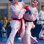 ASKÖ Wiener Karate Landesmeisterschaft 2014