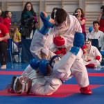 ASKÖ Wiener Karate Landesmeisterschaft 2014