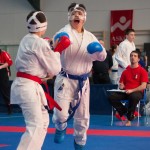 ASKÖ Wiener Karate Landesmeisterschaft 2014