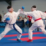 ASKÖ Wiener Karate Landesmeisterschaft 2014