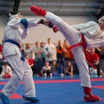 ASKÖ Wiener Karate Landesmeisterschaft 2014