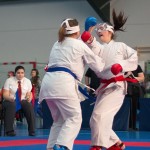 ASKÖ Wiener Karate Landesmeisterschaft 2014