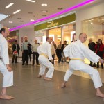 Karate Vorführung bei "Seniorentage Riverside"