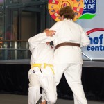 Karate Vorführung bei "Seniorentage Riverside"