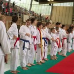 Wiener Karate Landesmeisterschaft 2014