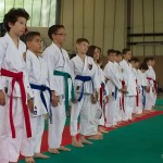 Wiener Karate Landesmeisterschaft 2014