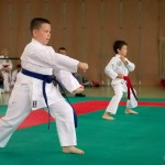 Wiener Karate Landesmeisterschaft 2014