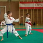 Wiener Karate Landesmeisterschaft 2014