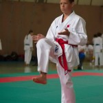 Wiener Karate Landesmeisterschaft 2014