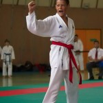 Wiener Karate Landesmeisterschaft 2014