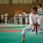 Wiener Karate Landesmeisterschaft 2014