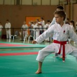 Wiener Karate Landesmeisterschaft 2014