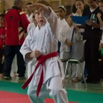 Wiener Karate Landesmeisterschaft 2014