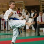 Wiener Karate Landesmeisterschaft 2014