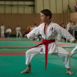 Wiener Karate Landesmeisterschaft 2014