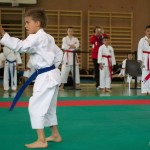 Wiener Karate Landesmeisterschaft 2014