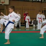 Wiener Karate Landesmeisterschaft 2014