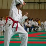 Wiener Karate Landesmeisterschaft 2014