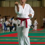 Wiener Karate Landesmeisterschaft 2014