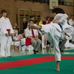 Wiener Karate Landesmeisterschaft 2014