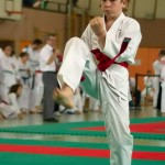 Wiener Karate Landesmeisterschaft 2014