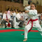 Wiener Karate Landesmeisterschaft 2014