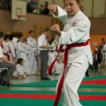 Wiener Karate Landesmeisterschaft 2014