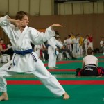 Wiener Karate Landesmeisterschaft 2014