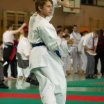 Wiener Karate Landesmeisterschaft 2014