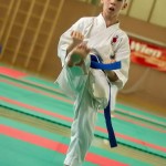 Wiener Karate Landesmeisterschaft 2014